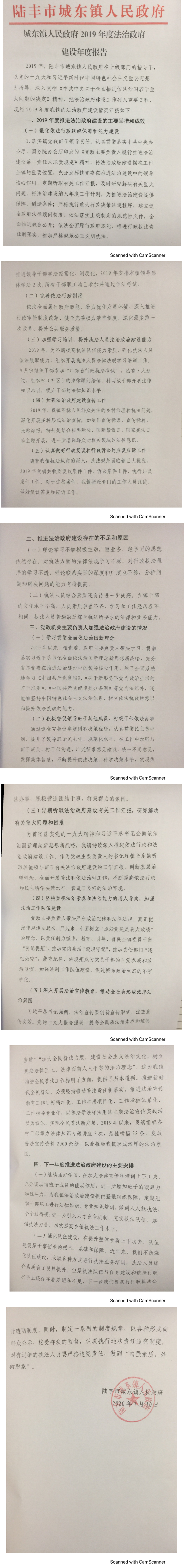 城東鎮(zhèn)人民政府2019年度法治政府建設年度報告_0.png