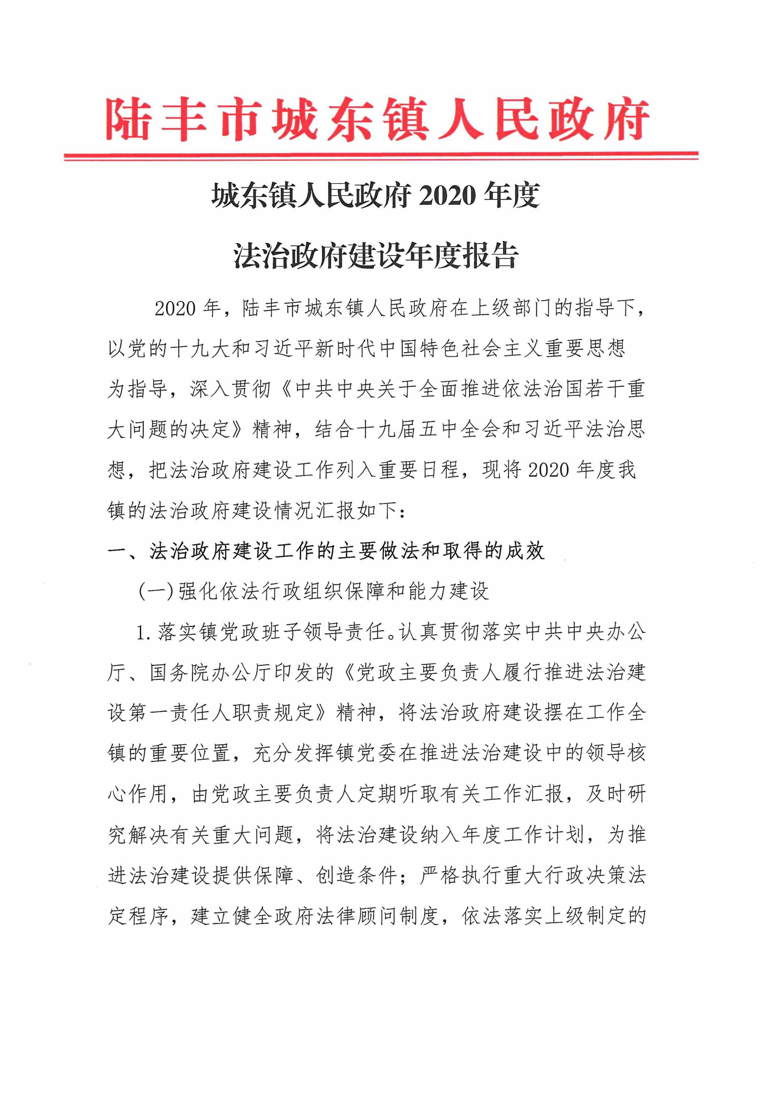 城東鎮(zhèn)人民政府2020年度法治政府建設(shè)年度報(bào)告_00.png