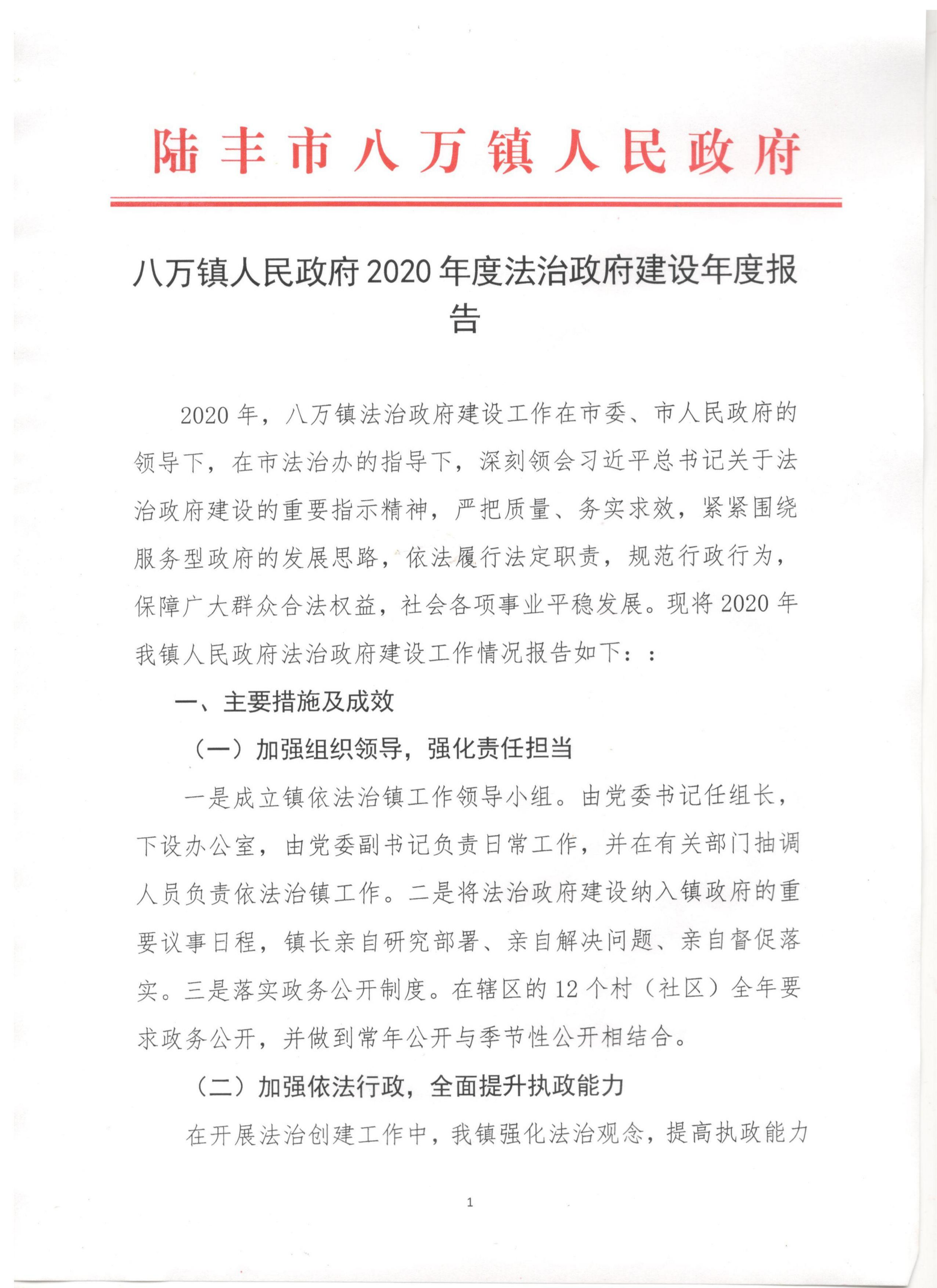 八萬(wàn)鎮(zhèn)人民政府2020年度法治政府建設(shè)年度報(bào)告_00.png